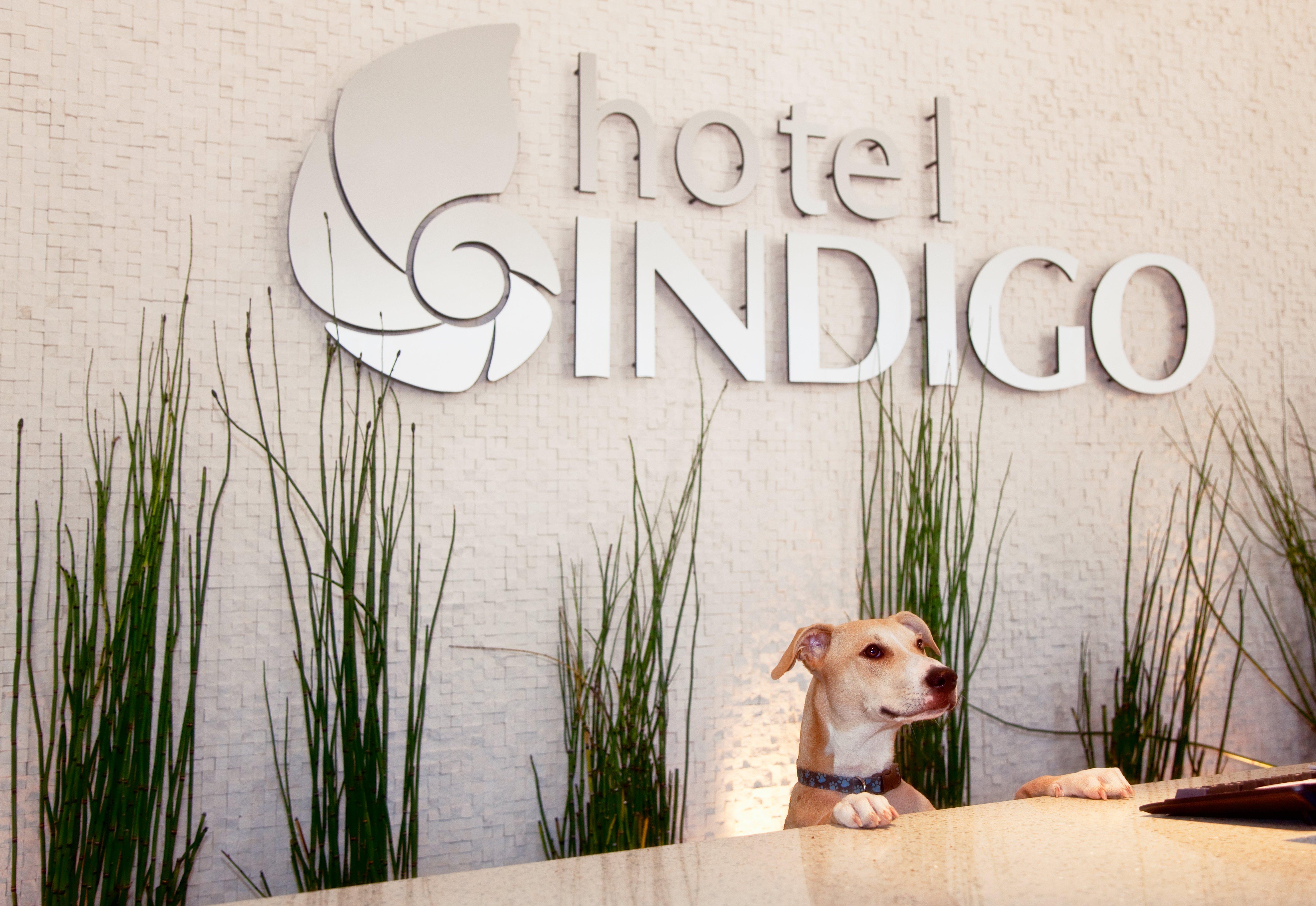 Hotel Indigo San Diego - Gaslamp Quarter, an IHG Hotel Bagian luar foto